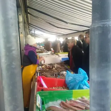 Studio-cosy 11 Vue Port A Deux Pas De Nausicaa 滨海布洛涅