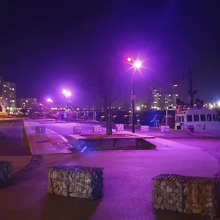 Studio-cosy 11 Vue Port A Deux Pas De Nausicaa