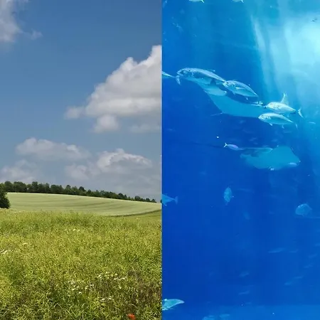 Studio-cosy 11 Vue Port A Deux Pas De Nausicaa *